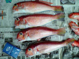 amadai