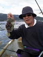 ajirokawahagi