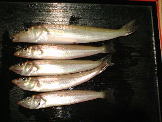 OYLX
