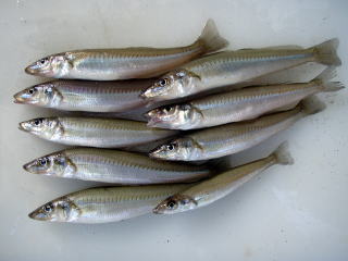 lމ