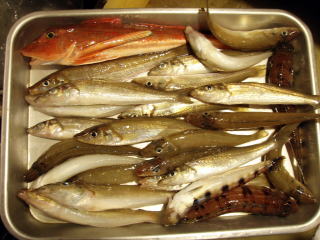 釣果
