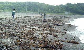 wadanahama