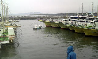 䕗5ɔނD