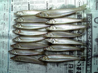 lމ
