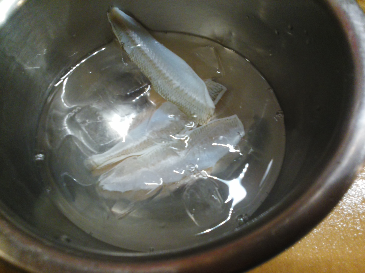 きす活〆