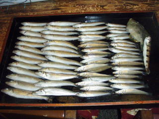 釣果