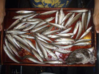 釣果