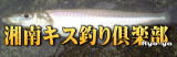 ނyS