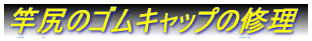 ƐK̃SLbv̏C