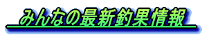 ŋ߂̒މʁko[\l