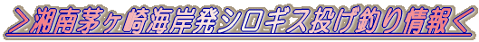 CݔVLXނ 